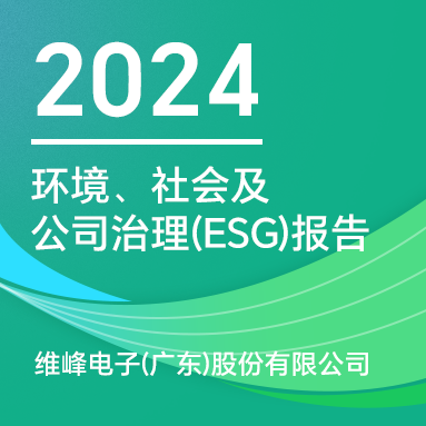 維峰電子(廣東)股份有限公司 :2024 年環境、社會及公司治理報告